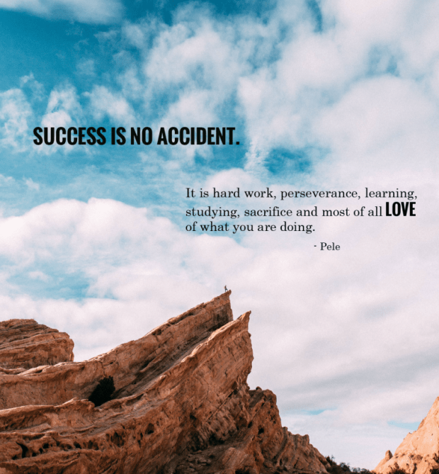 success-is-no-accident-the-house-wren